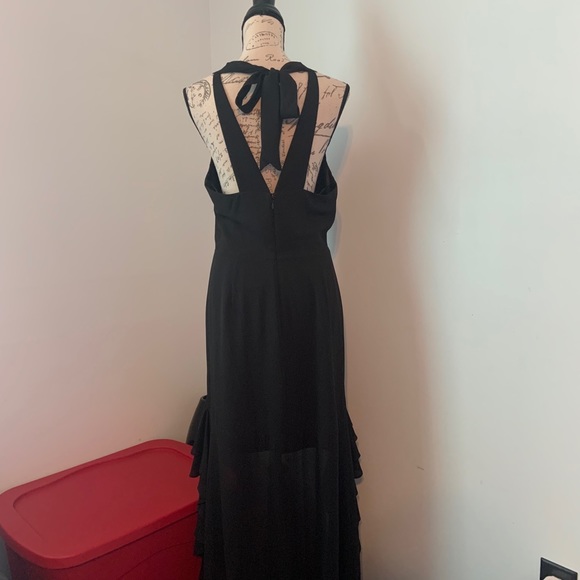 Belle Badgley Mischka High low Ruffle Dress - Picture 13 of 16